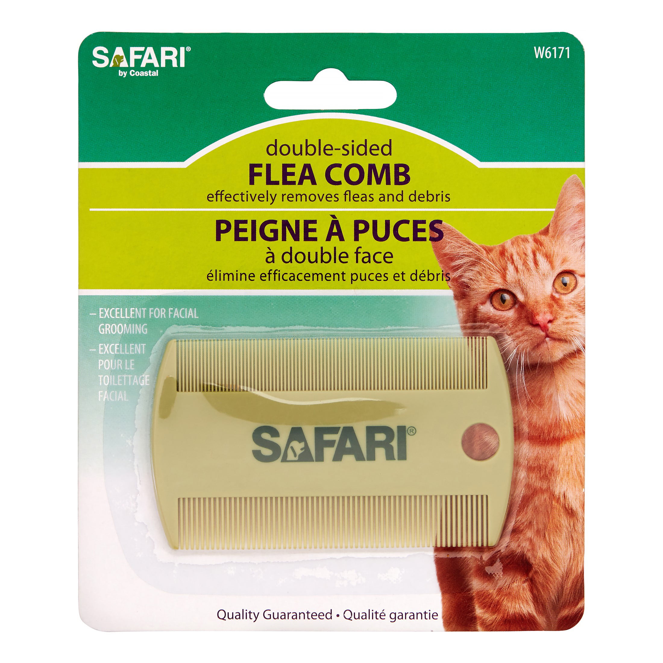cat flea grooming