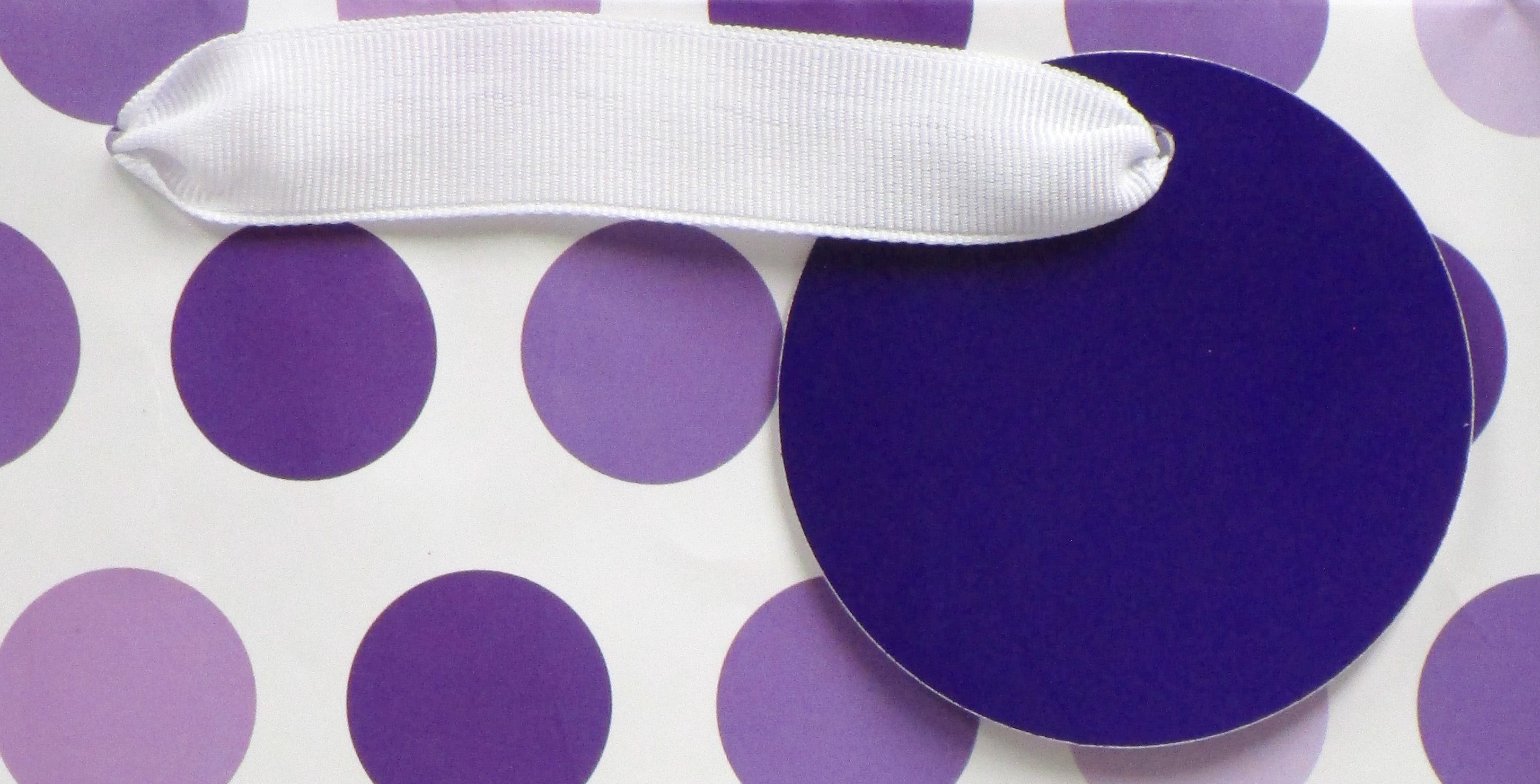 Purple Polka Dot Print Paper Gift Bag, 14.5" x 17.5", by Way To Celebrate