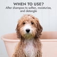 thumbnail image 4 of Acondicionador para Perros KONG con Aroma a Avena y Miel 473 ml, 4 of 9