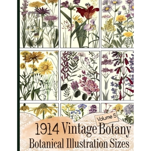 Floral Ephemera: 1914 Vintage Botany Botanical Illustration Sizes (Paperback)