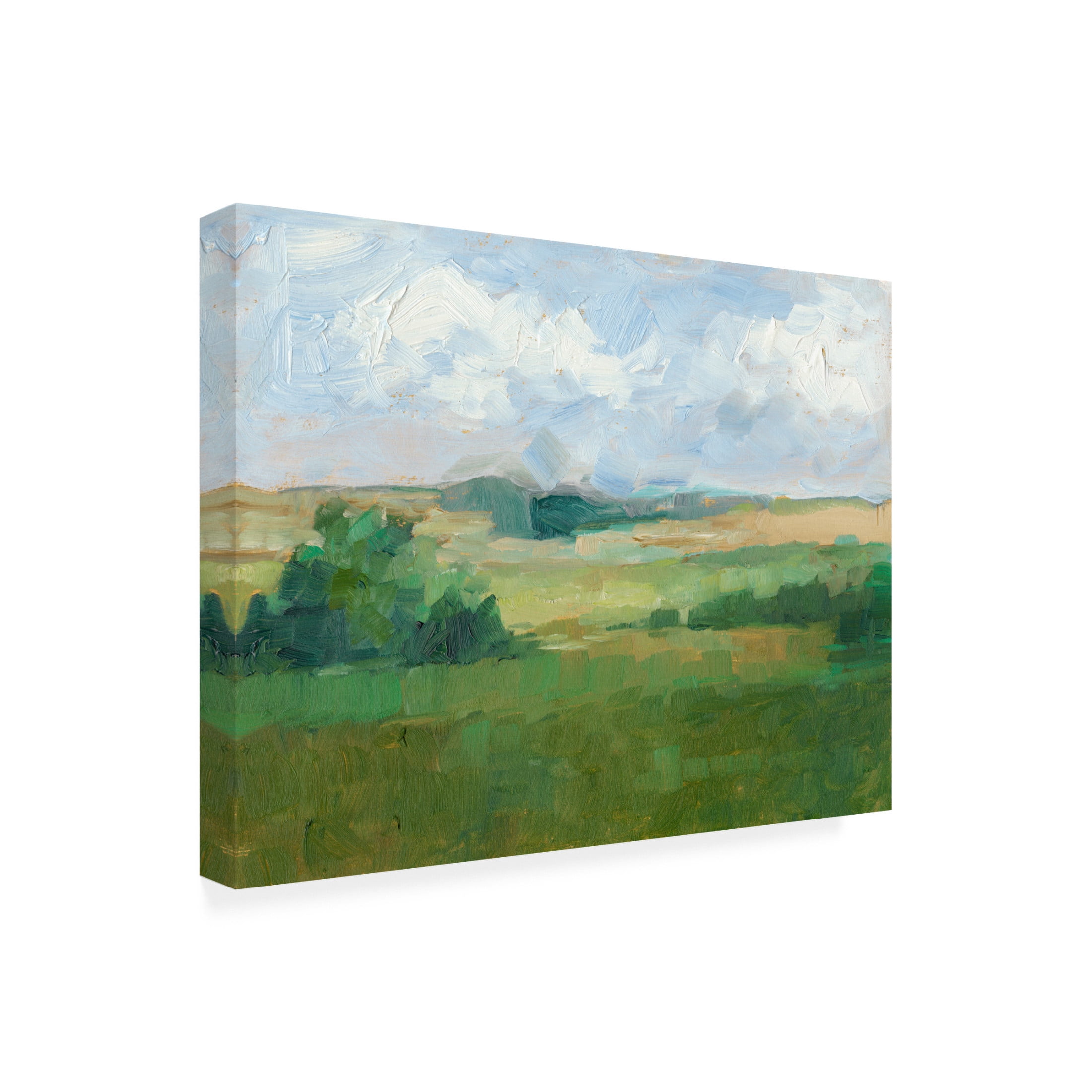 Canvas Wall Art - Ethan Harper 'Afternoon Shade I' Wall Art for Living Room, Bedroom, or Office Décor by Trademark Fine Art - 32 x 24 Inches