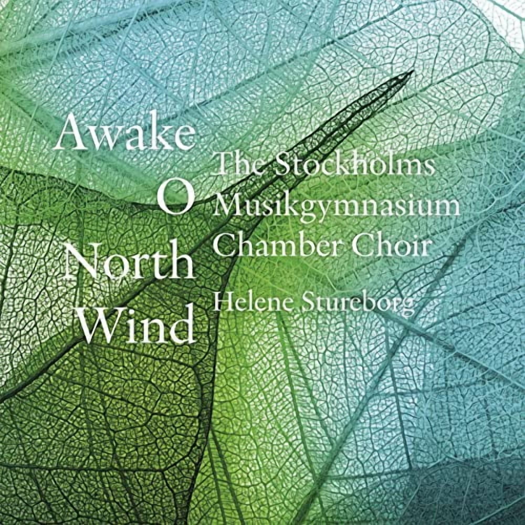 Forde / Gjeilo / Ohansson / Kverno / Stureborg - Awake, O North Wind - Music & Performance - CD