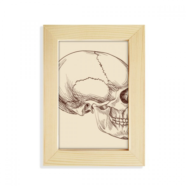 Dibujo de perfil Craneo Humano Unbranded Marco de Madera 5x7 pulgadas