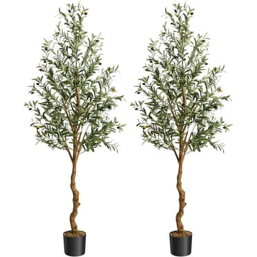 72 Inch Artificial Olive Tree - Realistic Faux Plants for Home and Office Decor, 2-Pack