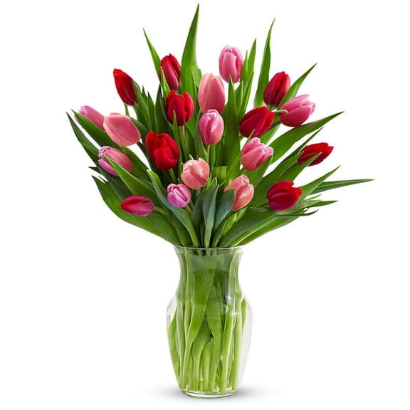 From You Flowers - Red & Pink Tulips - 20 Stems for Birthday, Anniversary, Get Well, Congratulations, Thank You, All Occasions