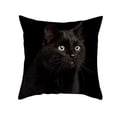 thumbnail image 4 of 2022 Pillowcase Cartoon Black Cat Print Peach Skin Animal Pillow Home Pillowcase, 4 of 5