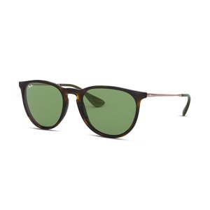Ray Ban Erika Sunglasses | Erika Classic RB4171