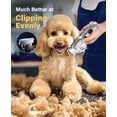 thumbnail image 2 of Kit de aseo para perros, ideal para pelo grueso y grueso, con recortador de patas, 2 of 8