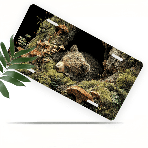 1 Pcs 2D Flat License Plate Covers & Frames, Bear For Decorative Front, Waterproof For Decoration Aluminum License Plate Covers & Frames Cover For Men Women, 12" X 6"