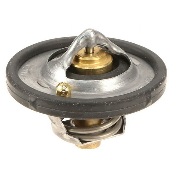 Thermostat - Compatible with 2011 - 2019 Ford Fiesta Naturally Aspirated 2012 2013 2014 2015 2016 2017 2018