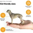 thumbnail image 3 of StarGo Small Plastic Puppy Dog Figurines - Set of 12 Realistic Breeds for Kids, Educational Play, Ages 3+, 3 of 7