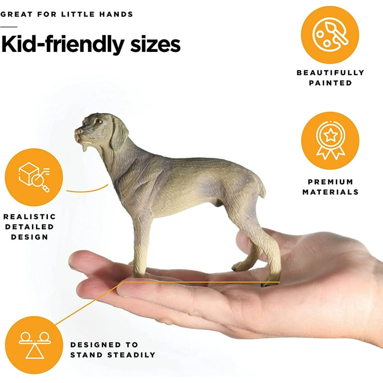 ZSMD 1/6 Working Dog Belgian Malinois Figure Pet Animal Model Realistic Educational Painted Figure Decoration Toy Collector Gift Adult (Black