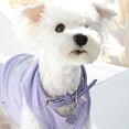 thumbnail image 3 of Collar de cuero para perros - Lindo collar ajustable para perros pequeños y medianos, 3 of 5