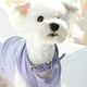 thumbnail image 3 of Collar de cuero para perros - Lindo collar de perro ajustable para perros pequeños y medianos, 3 of 5