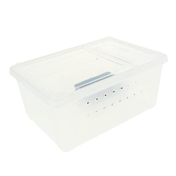 Hábitat Terrario Vivarium Caja de cría con sustrato jinwen Reparium Vivarium Terrarium