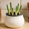 thumbnail image 4 of Hydroponic Garlic & Chives Growing Kit – 3D Printed Planter Box, Soil‑Free Indoor Herb Garden, 4 of 7