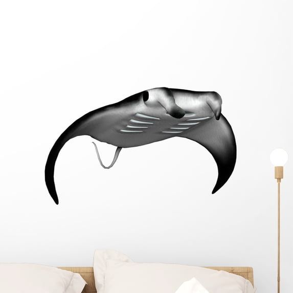 Manta Ray Wall Decal by Wallmonkeys Peel and Stick Graphic (24 in W x 15 in H) WM240885