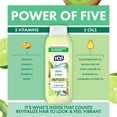 thumbnail image 4 of Alberto VO5 Kiwi Lime Clarifying Hair Conditioner with Rosemary Extract, 98% Naturally Derived, Paraben Free, Vitamin-Enriched Formula for Fresh, Clean Hair, 4 of 7
