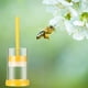 thumbnail image 5 of Queen Bee Marking Kit, 2 Queen Marking Cage Tube with 3 Bee Marker Pen for Beekeeper Tool, 5 of 5