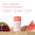 thumbnail image 3 of (Pack Of 6) Hume Supernatural Deodorant Wild Coral 2 Oz, 3 of 6