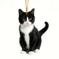 thumbnail image 2 of Cat Ornament Acrylic 2D Flat Funny Christmas Halloween Cats Decor Cute Black White Cat Hanging Gift for Tree Home Holiday Decor Car Interior Cat Lovers Decoration Pendant, 2 of 7