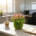 thumbnail image 5 of BotaniNest Indoor Outdoor Desktop Greenery For Home, 5 of 5