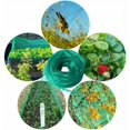 thumbnail image 2 of PENGXIANG Garden Netting Anti Bird Protection Net 2M x 8M for Plants Fruit Trees, 2 of 9