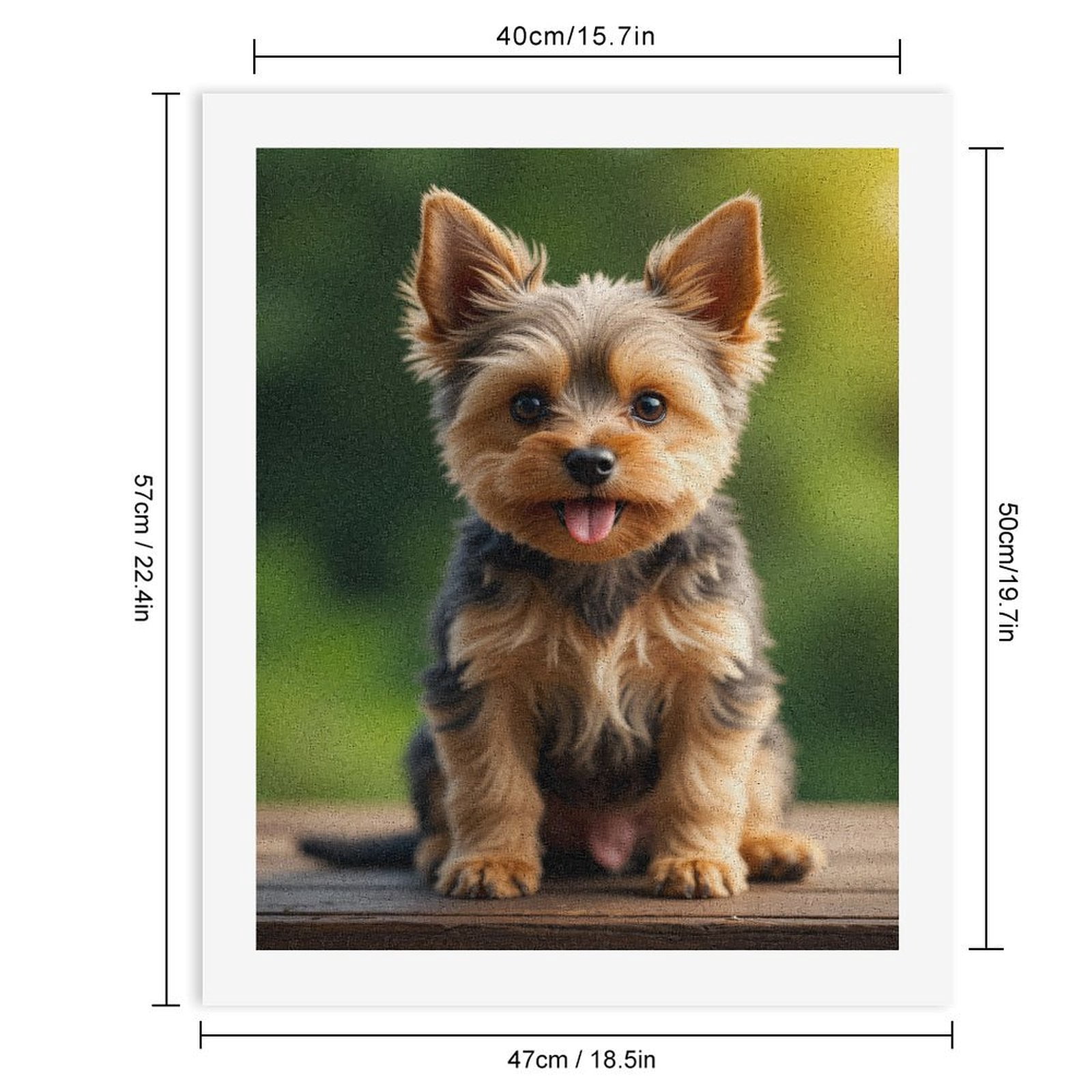 Paint by Numbers Kit for Adults, Cute Yorkshire Terrier Portrait Paint by Numbers, Easy Paint by Numbers Kit for Adults Beginner, DIY Adult Paint by Number Kits on Canvas, Home Decor
