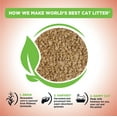 WORLD'S BEST CAT LITTER Poop Fighter Maximum Odor Defense, 15Pounds