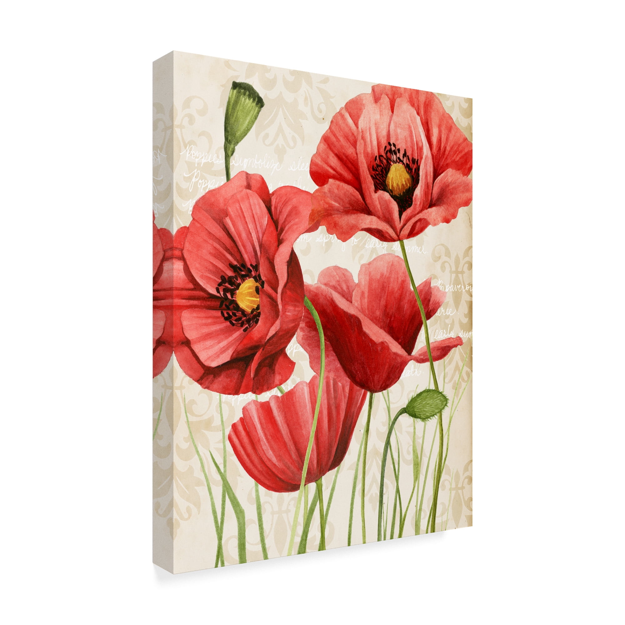 Trademark Fine Art 'Poised Poppy I' Canvas Art by Grace Popp