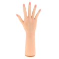 thumbnail image 2 of 1: 1 Gel de Silicona de Tamaño Natural Modelo de Mano Femenina Práctica de Uñas Manicura Entrenamiento Exhibición de Joyas Prop Cirugía perfke Estatua de mano de gel de sílice humana, 2 of 9