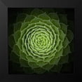 thumbnail image 2 of Mozqueda, Victor 20x20 Black Modern Framed Museum Art Print Titled - Succulent, 2 of 5