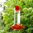 PerkyPet Red Our Best Glass Hummingbird Feeder 30 oz Capacity