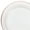 White & Rose Gold, variant on " OCCASIONS" 240 Plates Pack, Heavyweight Wedding Party Disposable Plastic Plates (10.5'' Dinner Plates, White & Silver Rim)