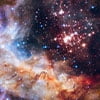 Westerlund 2 Star Cluster