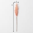 thumbnail image 4 of Sullivans Artificial Dried Salmon-Peach Plume 19"H Pink, 4 of 4