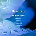 thumbnail image 4 of Mrs. Meyer’s Clean Day Hand Soap, Dewdrop Scent, 12.5 Fl Oz, 4 of 10