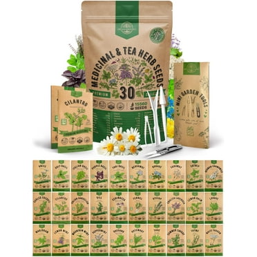 Blueberry Seed PackUMRT 2g - Berry Fresh Fruit Seeds - Perennial Heirloom Non-GMO Outdoor Indoor