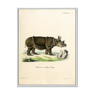 Designart 'Ancient Rhinoceros' Farmhouse Framed Canvas Wall Art Print