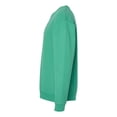 thumbnail image 2 of Hanes Chandail en Molleton Teint en Pièce ComfortWash pour Hommes Grande Taille, P, Vert Gazon Riche, 2 of 2