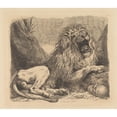 thumbnail image 2 of Sir George Hayter 14x12 Black Ornate Wood Framed Double Matted Museum Art Print Titled: A Study from Nature; a Lion Among Rocks, Roaring, a Human Skull Lower Right (1820), 2 of 5
