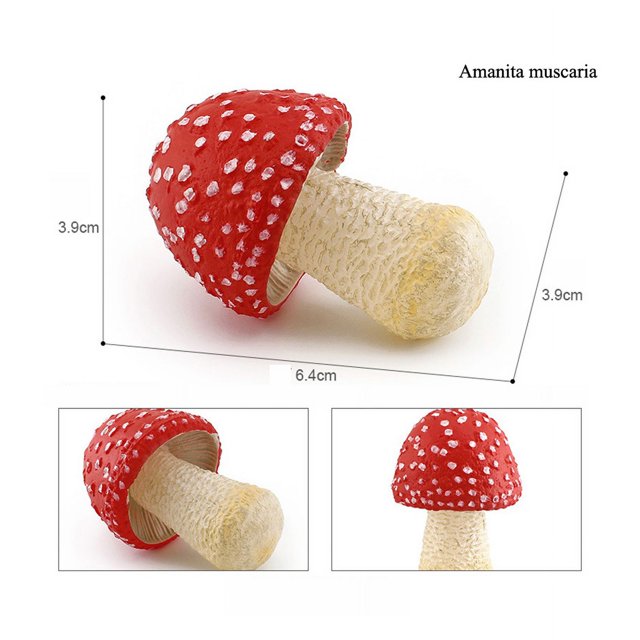 Simulation Montessori Around The World Building Mountain Plant Vegetable Fungi Mushroom Matsutake Model Figures Collection Toys