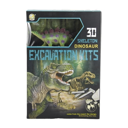 STEM STEGOSAURUS PALEONTOLOGY KIT Dinosaur Archeology Set