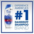 thumbnail image 6 of Head and Shoulders Dandruff 2 in 1 Shampoo, Old Spice Swagger, 12.8 oz, 6 of 6