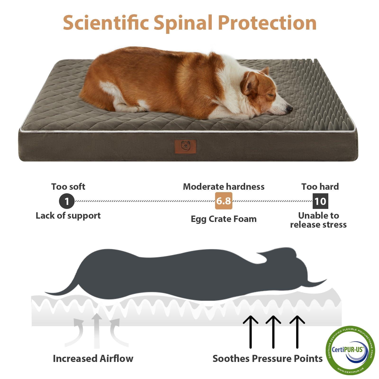 Dog Bed Medium Size  Waterproof Dogs With Removable Washable Cover Multi-needle Quilting Crate