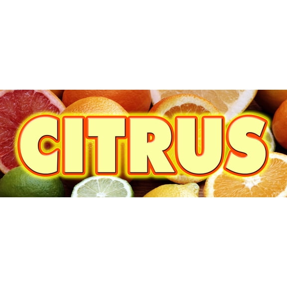 24" CITRUS DECAL sticker florida orange grapefruit lemon