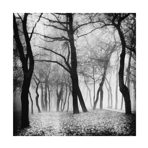 Marchevca Bogdan 'Mystique' Canvas Art