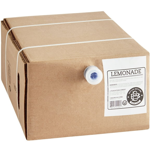 Boylan Bottling Co. 5 Gallon Bag in Box Lemonade Syrup