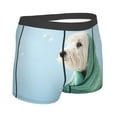 thumbnail image 3 of Kll Dog Wrapped In Towel Men'S Cotton Boxer Briefs Underwear-Large, 3 of 9