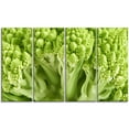 thumbnail image 2 of Fresh Florets Romains Verts, 2 of 3
